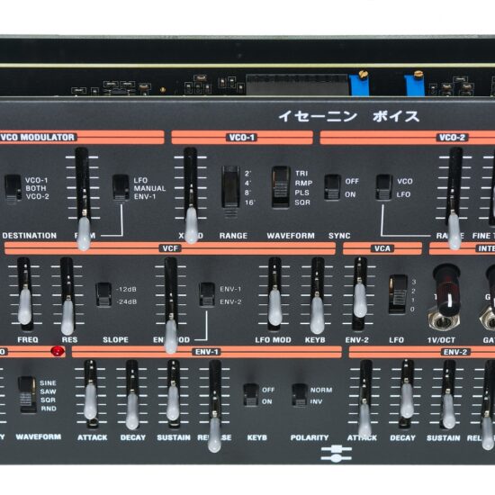 BLACK CORPORATION ISE-NIN Voice Eurorack Module – Image 3