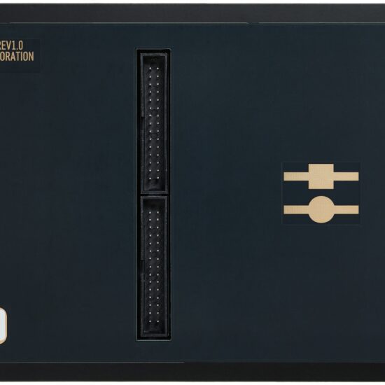 BLACK CORPORATION ISE-NIN Voice Eurorack Module – Image 2