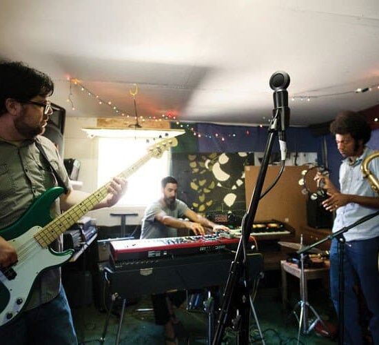 Shure PGA181 – Image 2