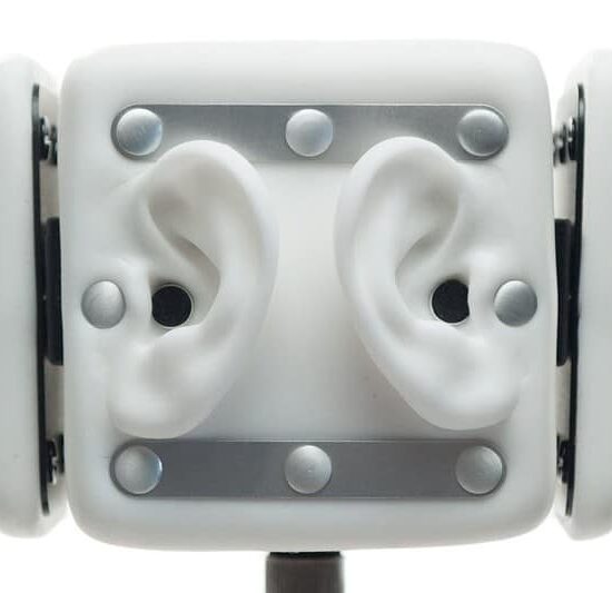 3DIO Omni Microphone binaural 4x2 canaux – Image 1