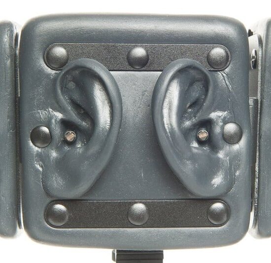 3DIO Omni Pro Microphone binaural 4x2 canaux – Image 1