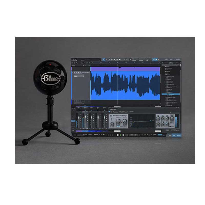 Blue Snowball Studio – Image 2