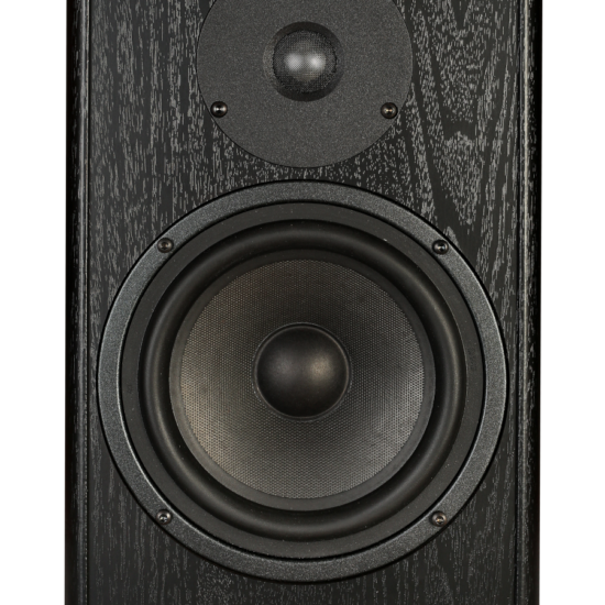 APS Klasik 2020Black Prix par paire – Image 1