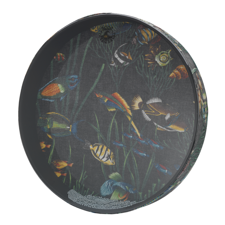 Remo Tambour Océan 12" Fish Graphic