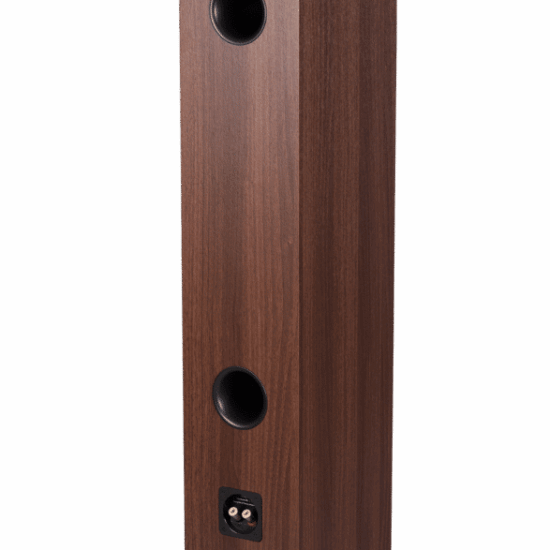 REVIVAL AUDIO SPRINT 4 Walnut – Image 2