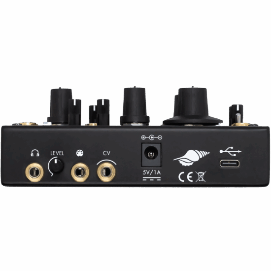 INSTRUO SEASHELL – Image 2