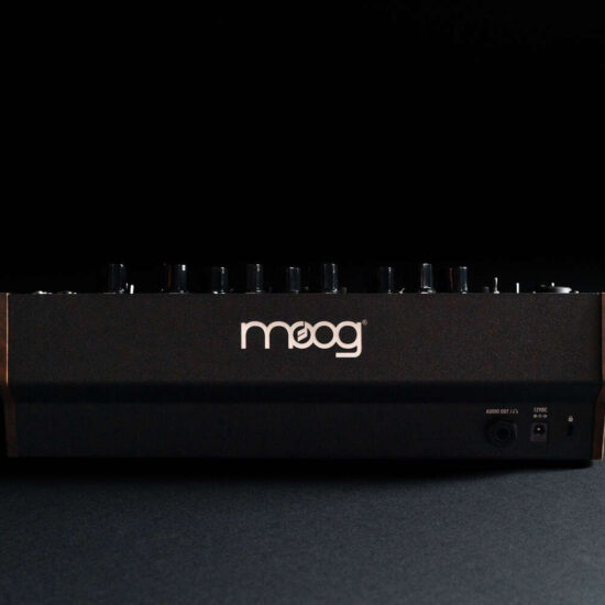 MOOG Spectravox – Image 2