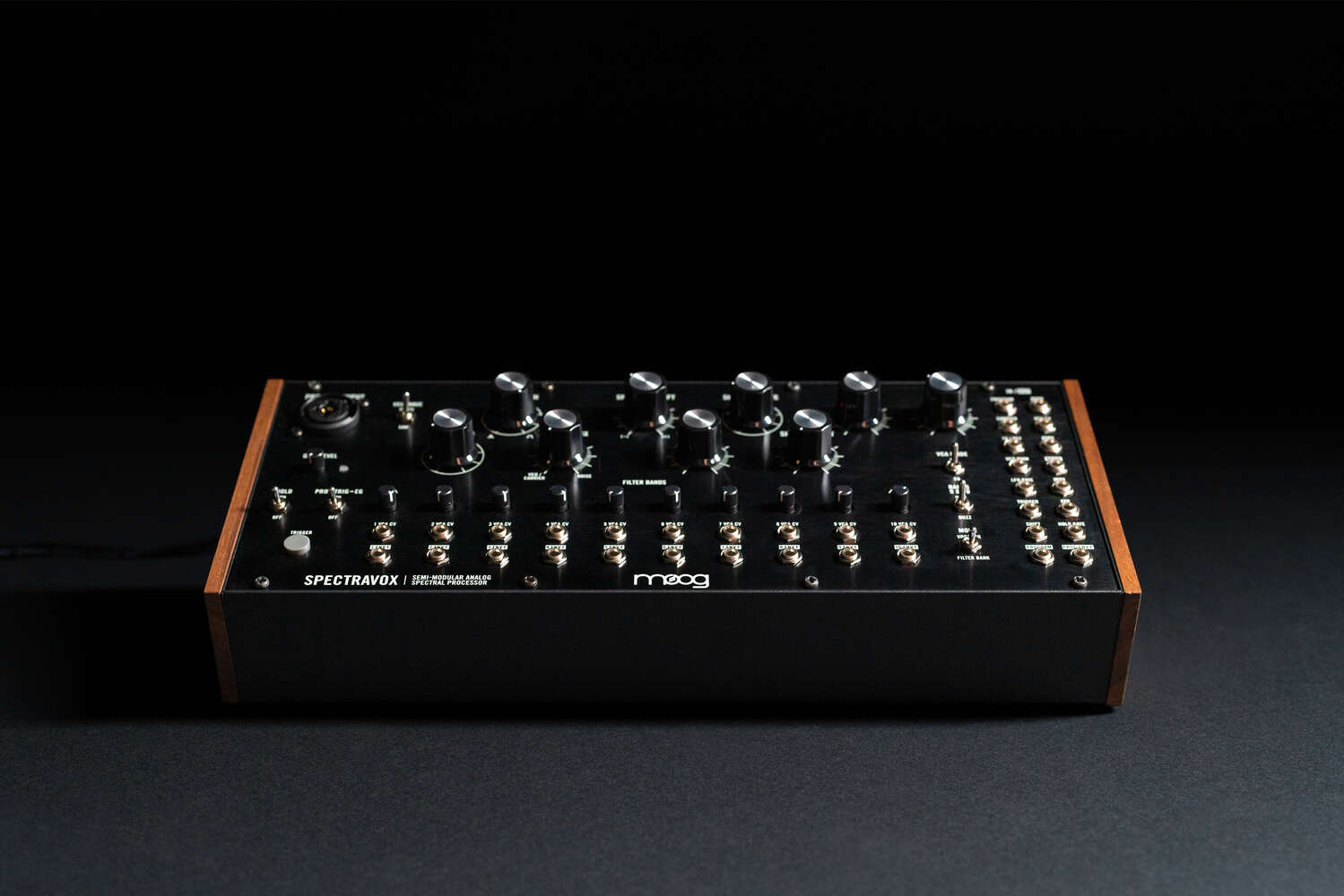 MOOG Spectravox – Image 4