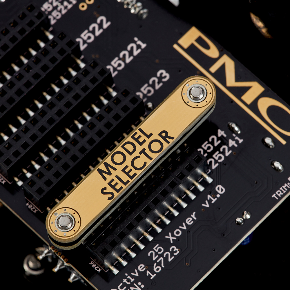 PMC Active twenty5 upgrade (pair) – Image 2