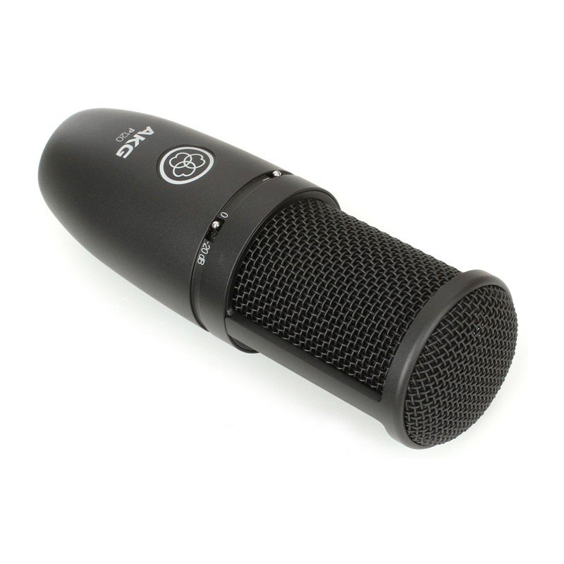 AKG P120 – Image 2