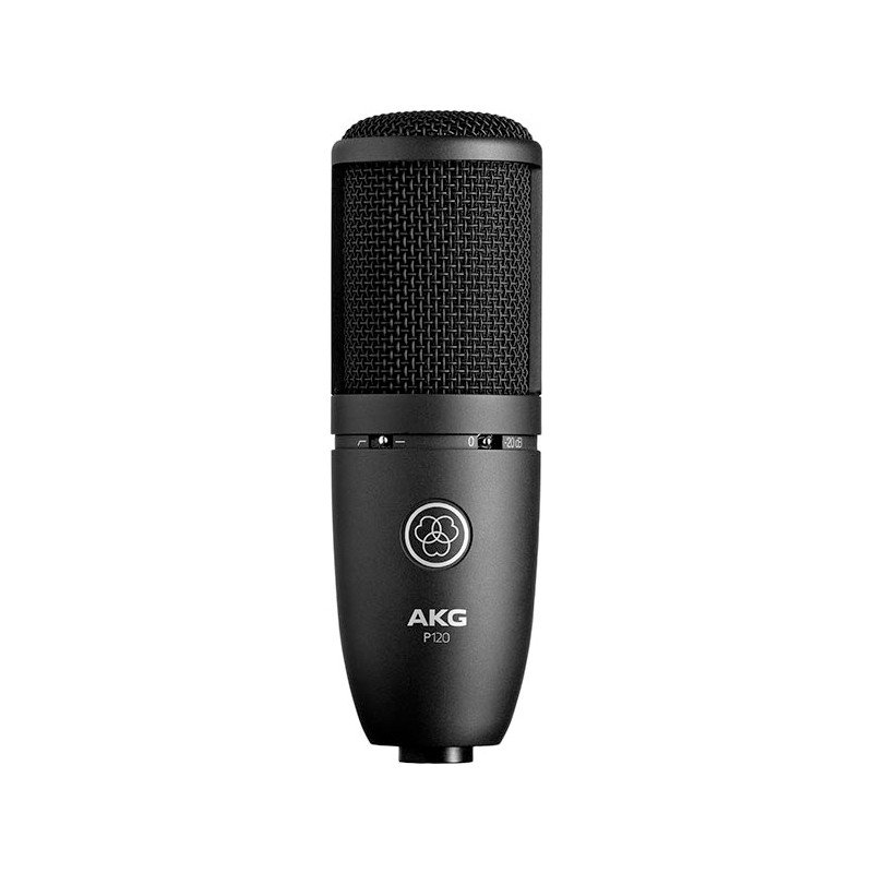 AKG P120 – Image 1