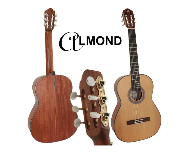 ALMOND Guitar Classic 4/4 Solid Spruce Top/Sapele
