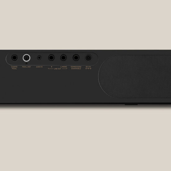 CASIO PX-S3100 – Image 2