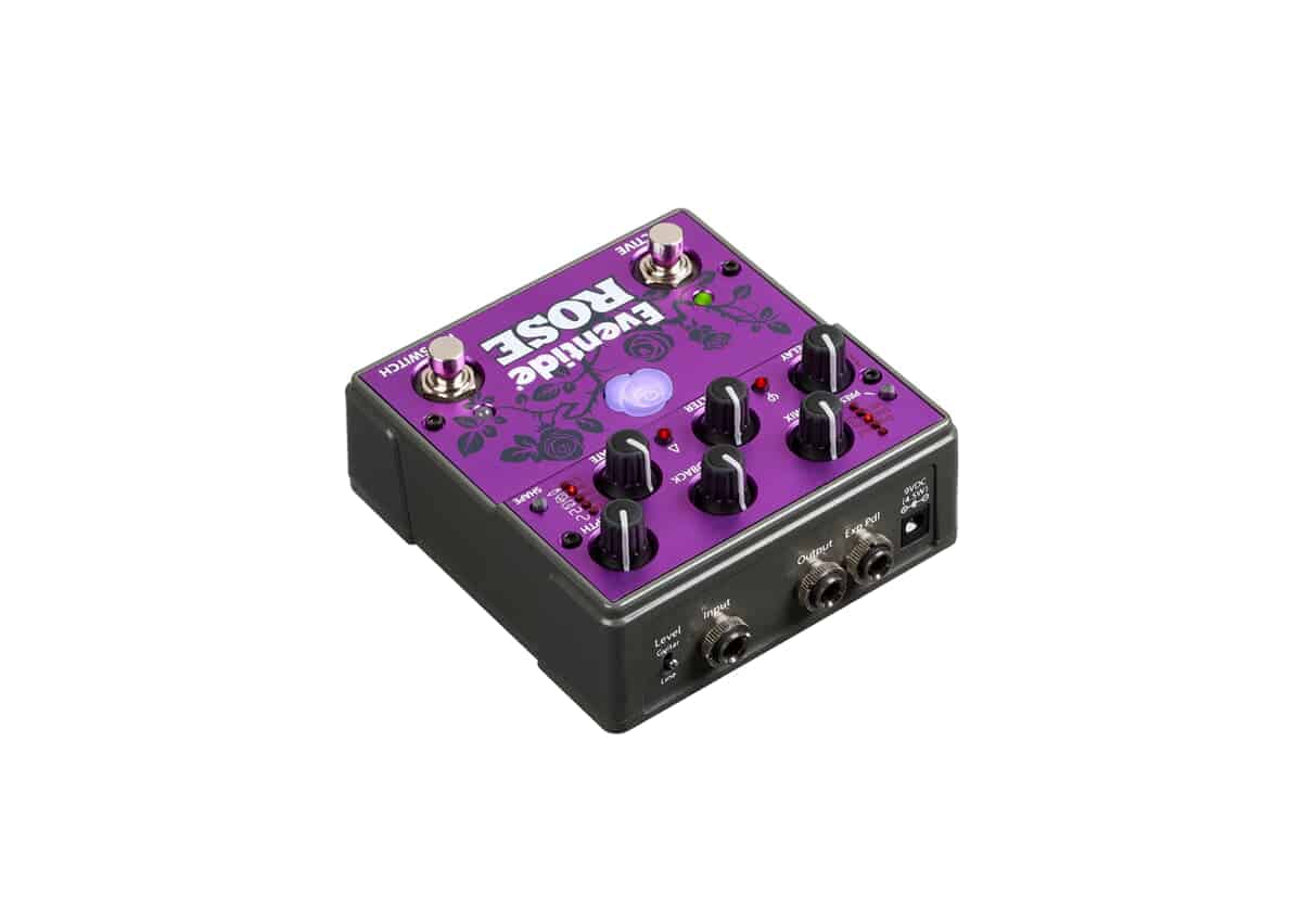 EVENTIDE Rose – Image 5