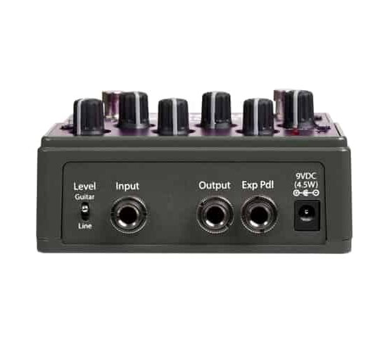 EVENTIDE Rose – Image 4