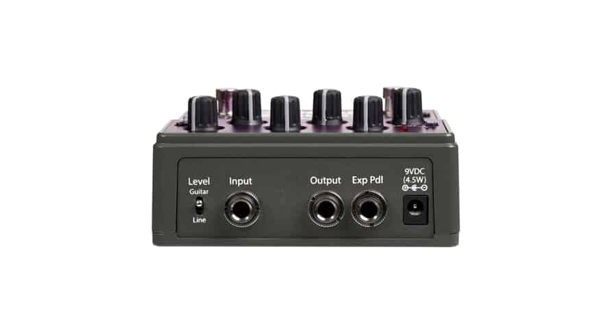 EVENTIDE Rose – Image 4