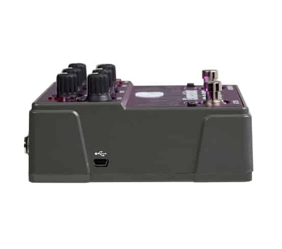 EVENTIDE Rose – Image 3