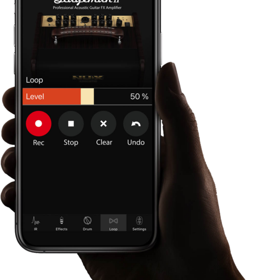 Stageman II Acoustic Guitar Amp 80 Watts sur batterie AC-80 – Image 4