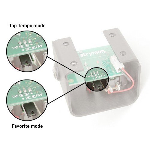 Strymon Tap Favorite – Image 3