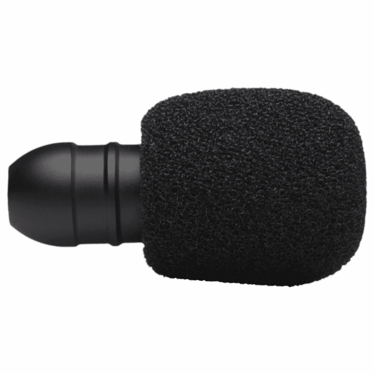 PRODIPE VL21-C Lanen Violin & Alto