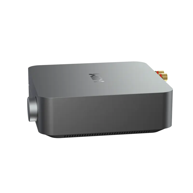 WIIM AMP PRO Space Gray – Image 3
